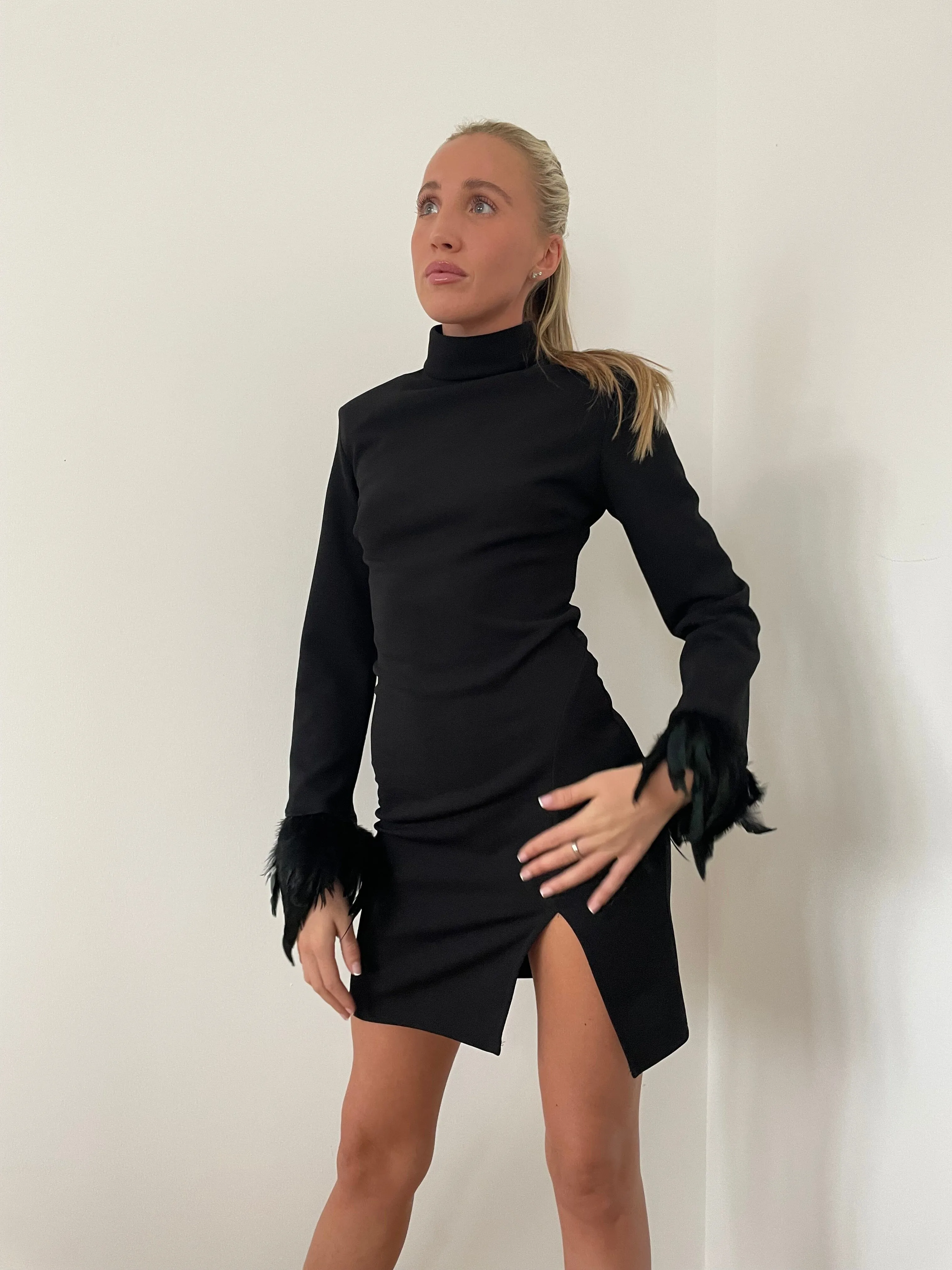 Feather Polar Neck Dress